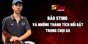 Bảo Sting - Những Thành Tích Nổi Bật Trong Giới Chọi Gà