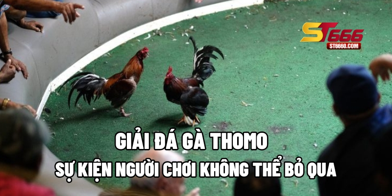 Giải Đá Gà Thomo: Sự Kiện Người Chơi Không Thể Bỏ Qua