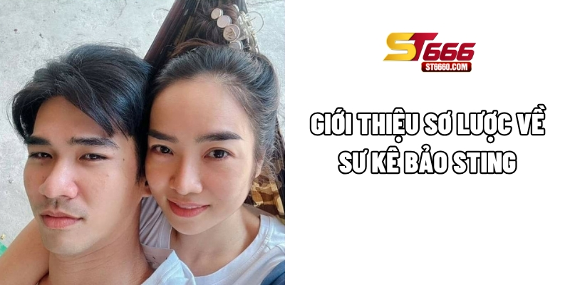 Giới thiệu sơ lược về sư kê Bảo Sting Giới thiệu sơ lược về sư kê Bảo Sting