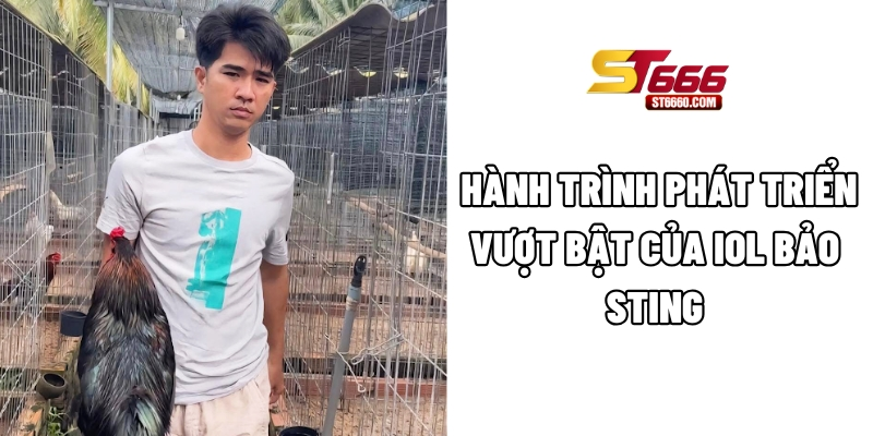 Hành trình phát triển vượt bật của iol Bảo Sting Hành trình phát triển vượt bật của iol Bảo Sting