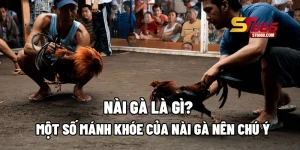 Nài Gà Là Gì? Một Số Mánh Khóe Của Nài Gà Nên Chú Ý