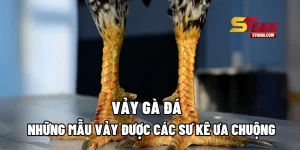 Vảy Gà Đá: Những Mẫu Vảy Được Các Sư Kê Ưa Chuộng