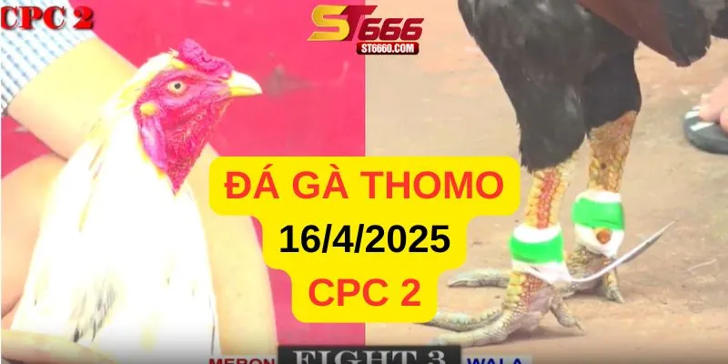 Phát Lại Video Đá Gà Trực Tiếp CPC2 Ngày 16/4/2025